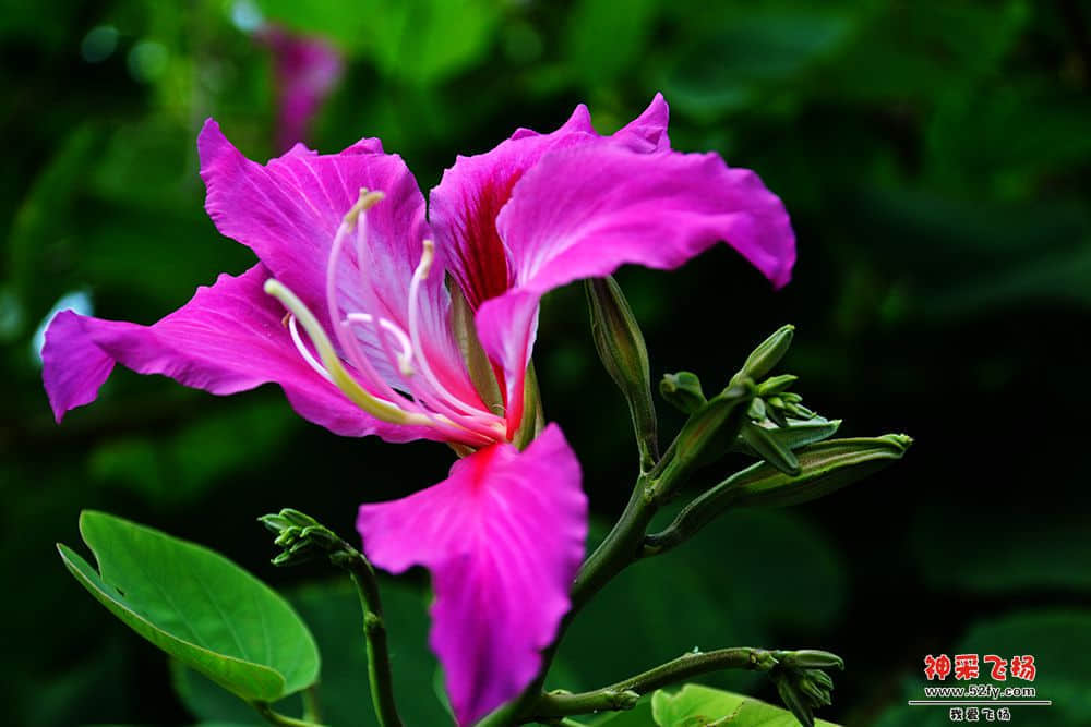 DSC_2347a.jpg
