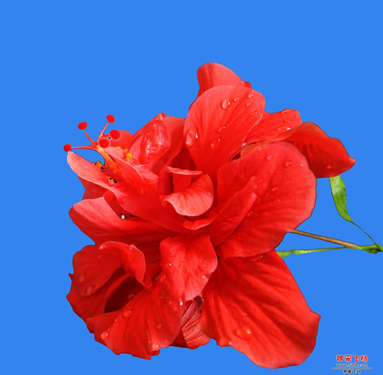 DSC_2358a.jpg
