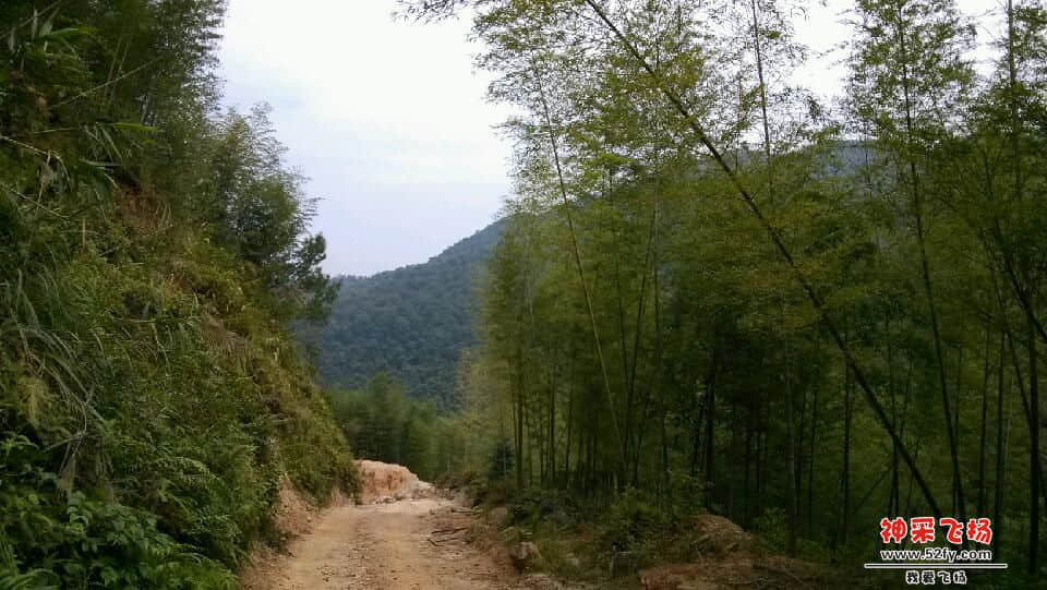 IMG_20131102_112337.jpg