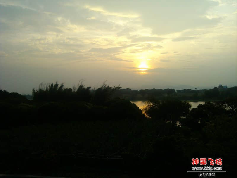 IMG_20131103_070212.jpg