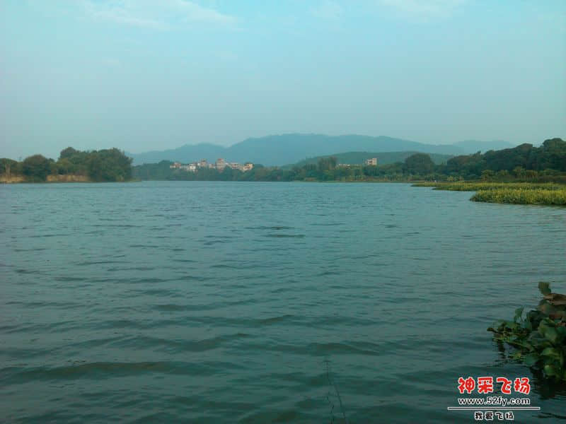 IMG_20131103_080945.jpg