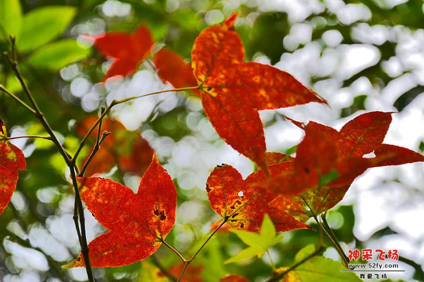 20130907-035.jpg