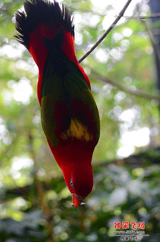 DSC_2864.jpg