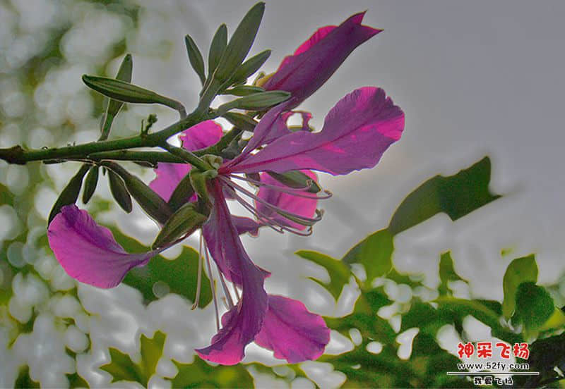 20130907-003k.jpg