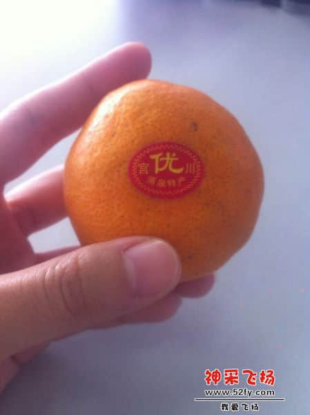 20131107沙糖桔.jpg