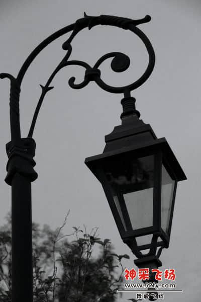 DPP_0343.jpg