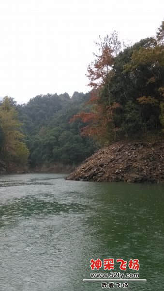 IMG_20131110_090904.jpg