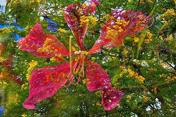 DSC_2644a.jpg