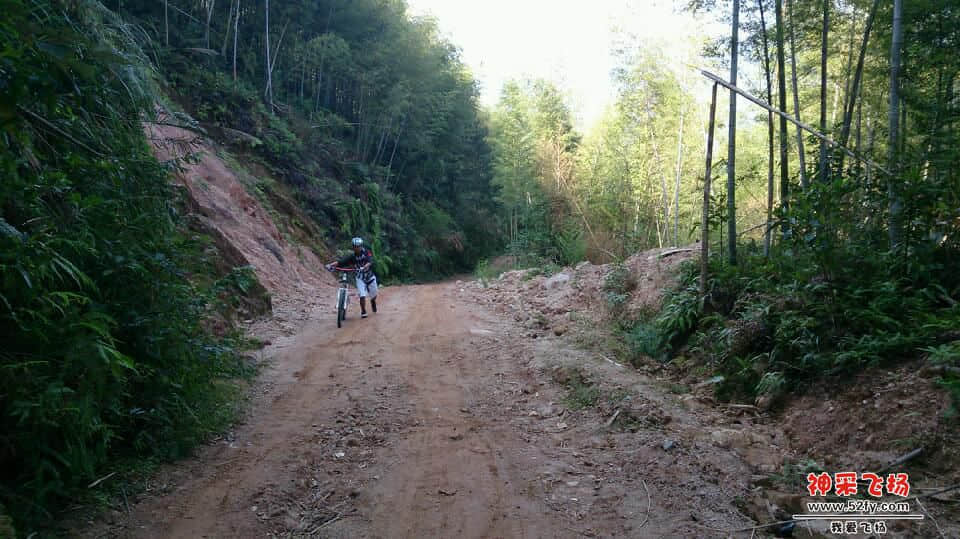 到达半路