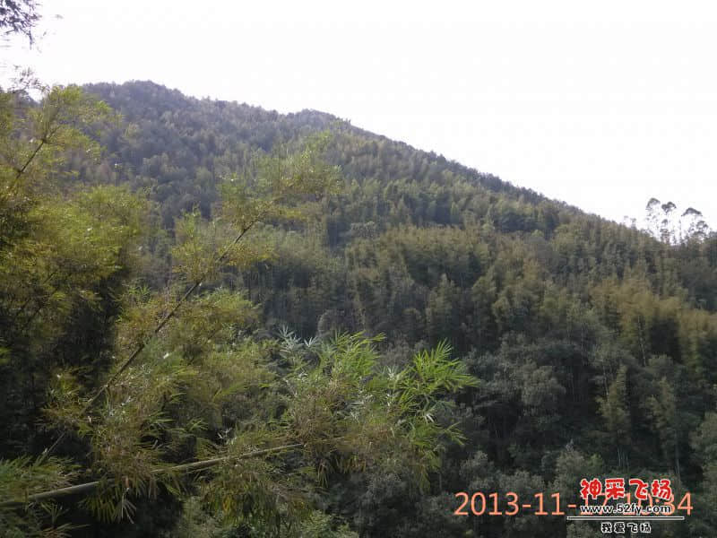 IMG_20131117_103408.jpg