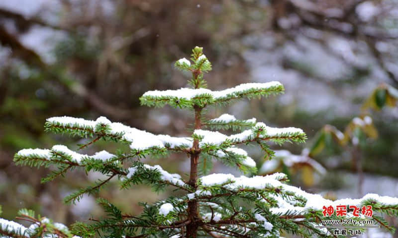 DSC_2392.jpg