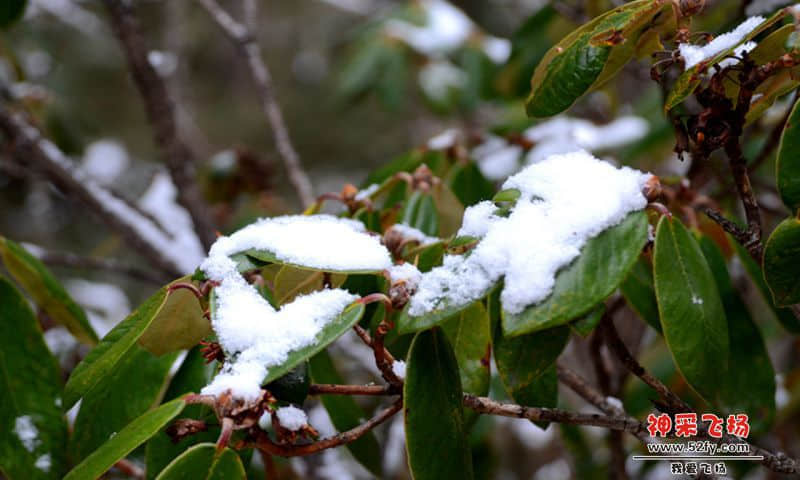 DSC_2394.jpg