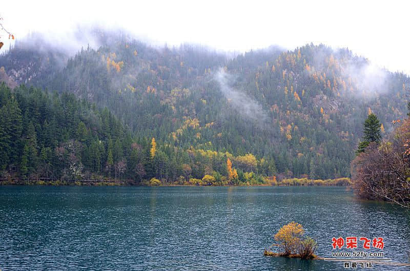 DSC_2479.jpg