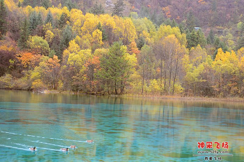 DSC_2507.jpg