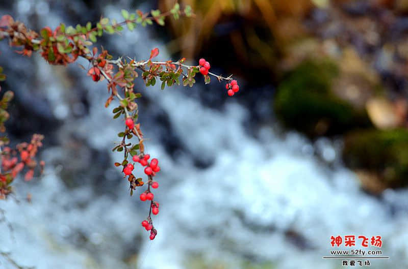 DSC_2628.jpg