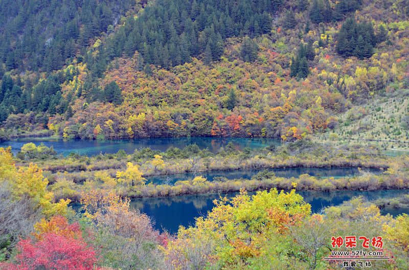 DSC_2643.jpg