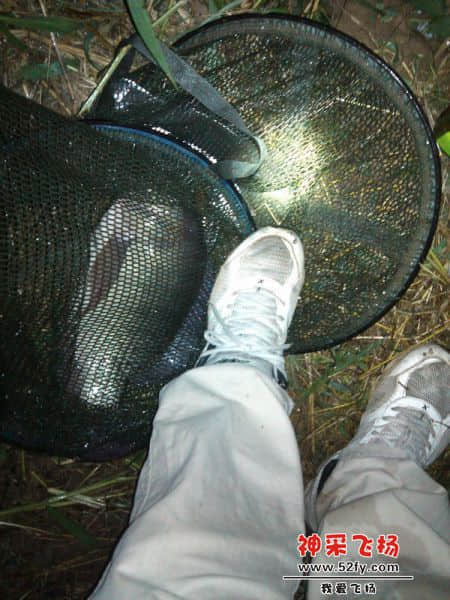 IMG_20131120_222718.jpg