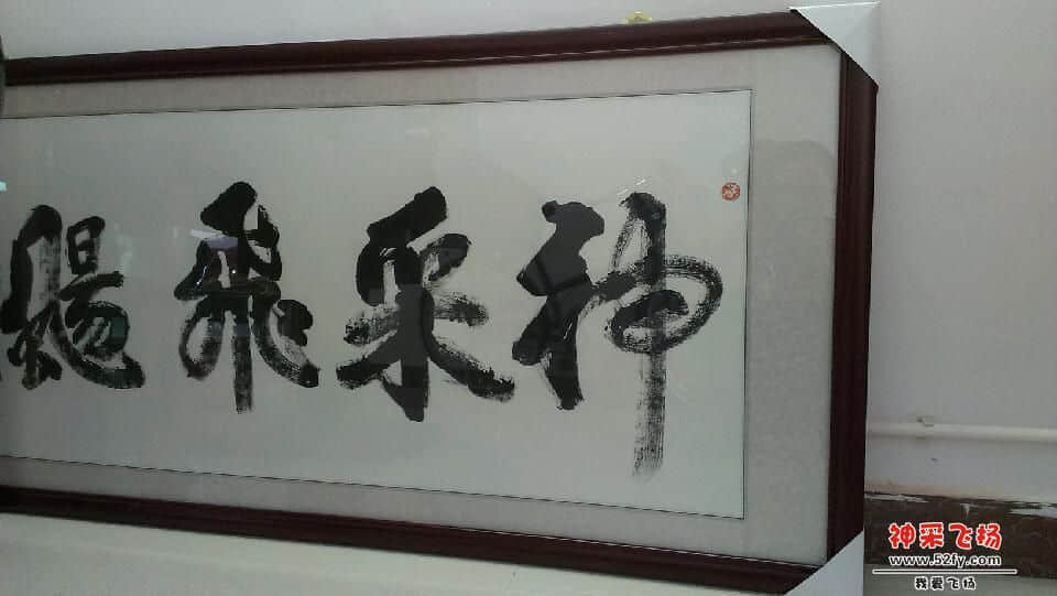 IMAG0895.jpg