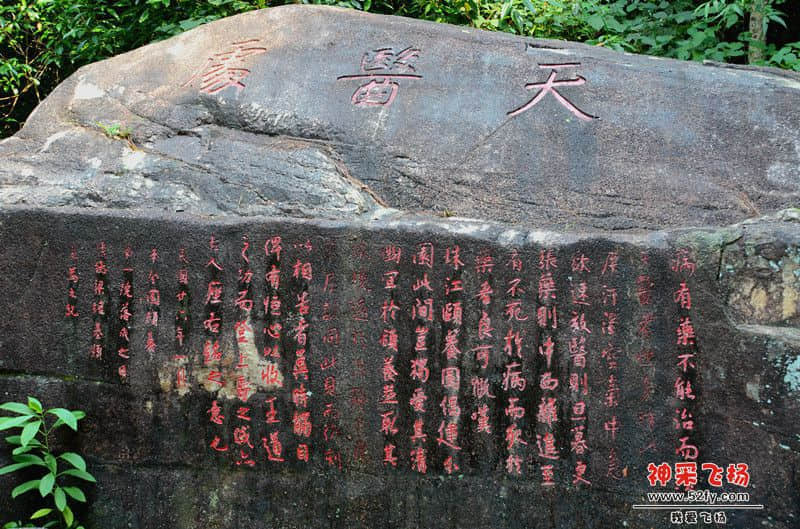 DSC_21711.jpg