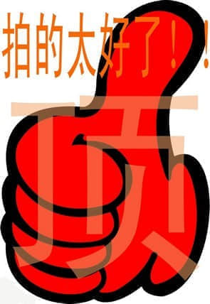 拍的太好了.jpg