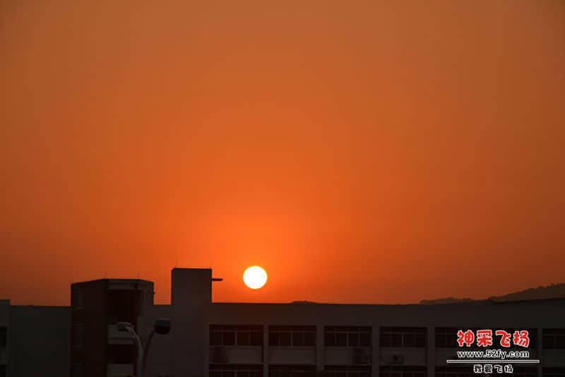 DSC_3063a.jpg
