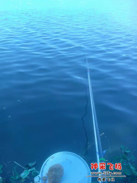 IMG20131129001.jpg