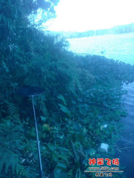 IMG20131129004.jpg