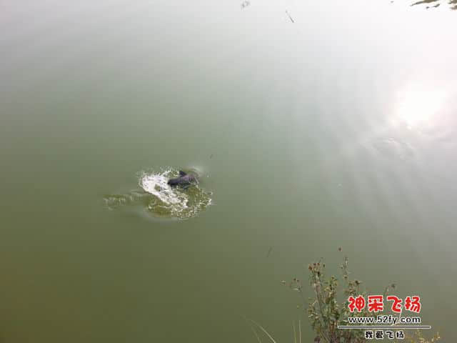调整大小 04.jpg