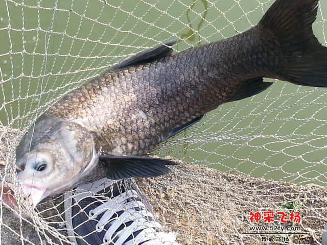 调整大小 06.jpg