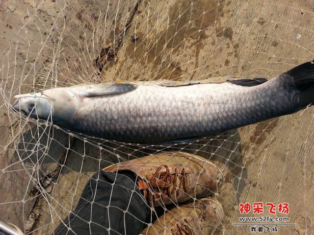 调整大小 11.jpg