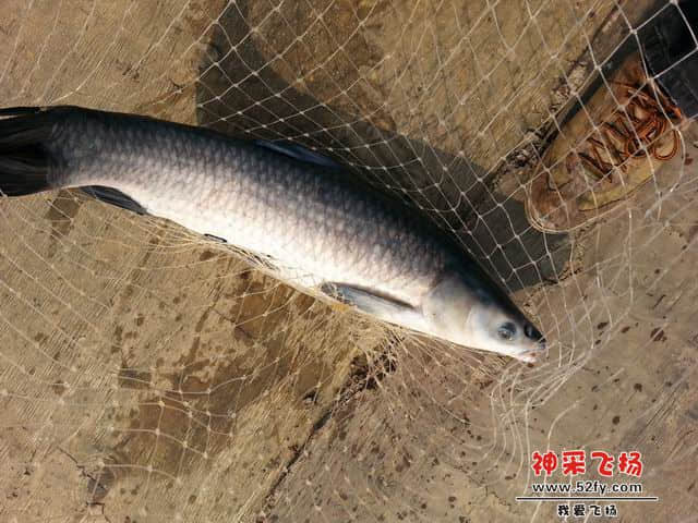 调整大小 12.jpg