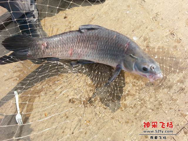 调整大小 13.jpg