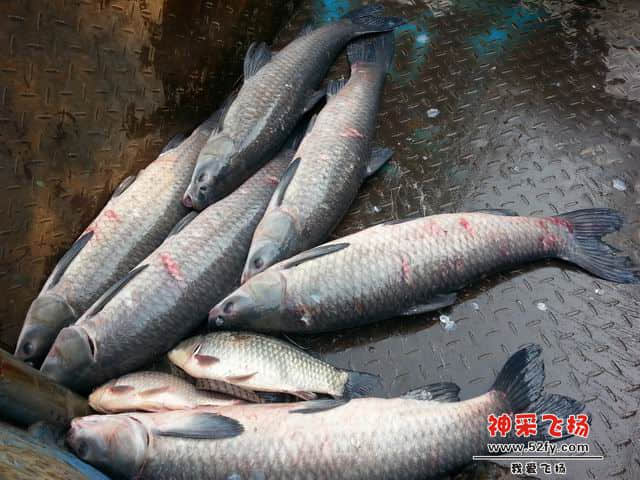 调整大小 17.jpg