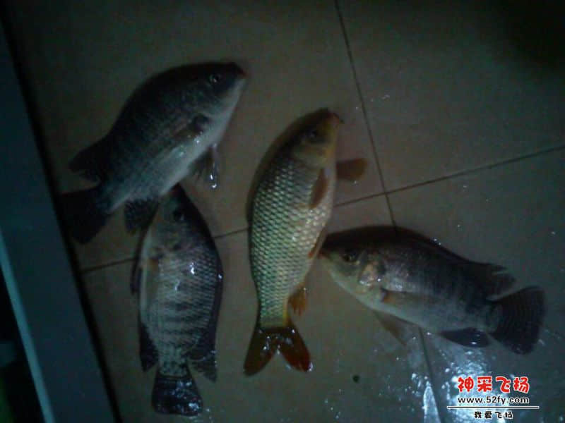 QQ图片20131213183707.jpg