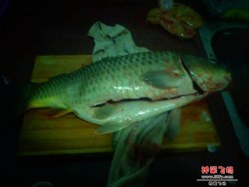 QQ图片20131213183712.jpg