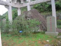 psb012.jpg
