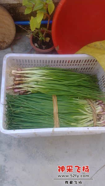 IMG_20131220_131619.jpg