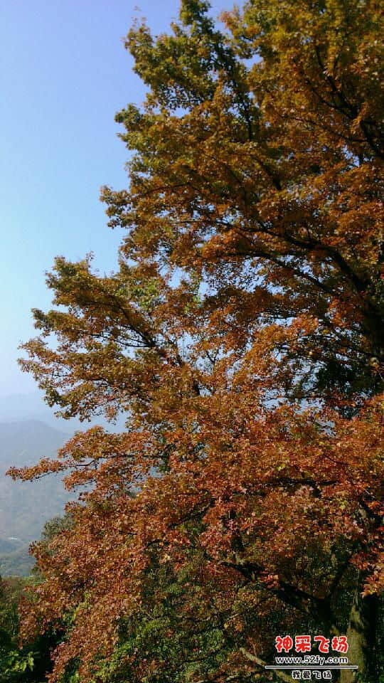 IMG_20131221_125741.jpg