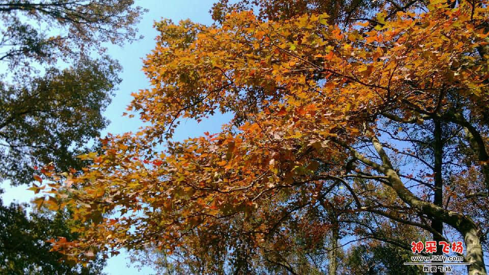 IMG_20131221_122058.jpg