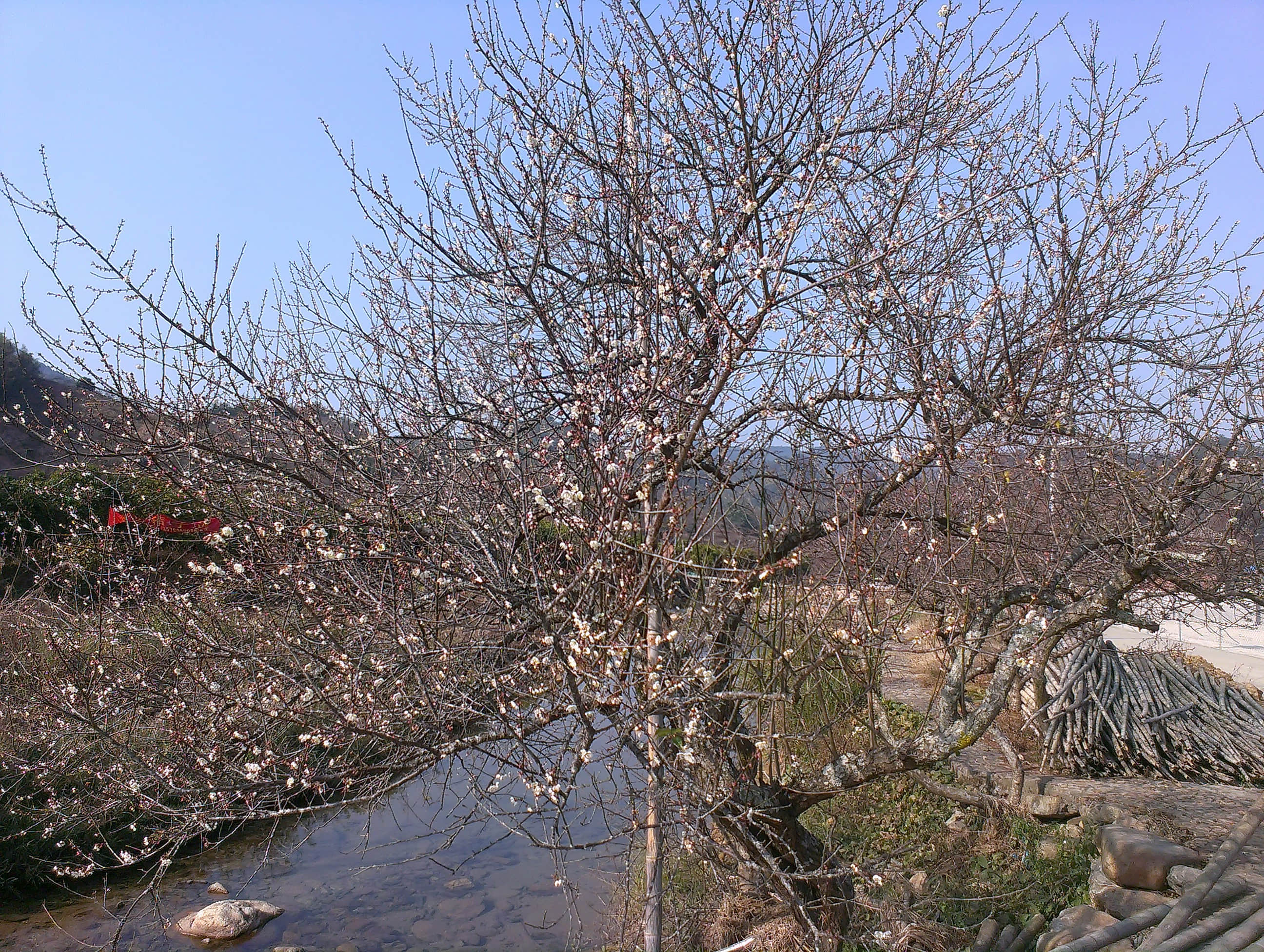 IMAG1344.jpg
