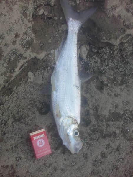 IMG20131231001.jpg