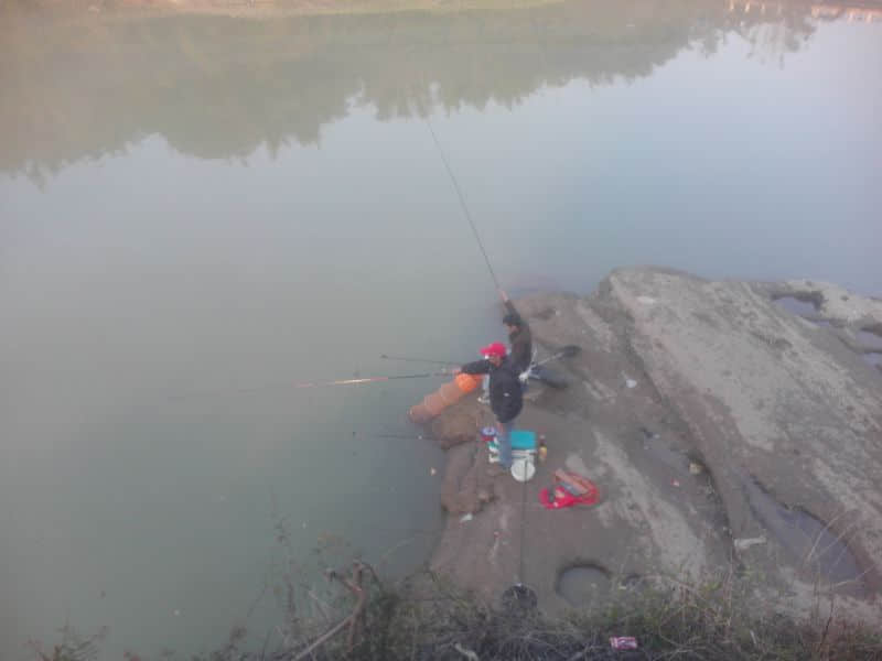 IMG20131231028.jpg