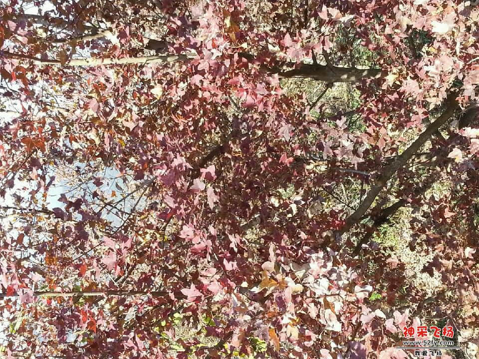 20140101_125528.jpg