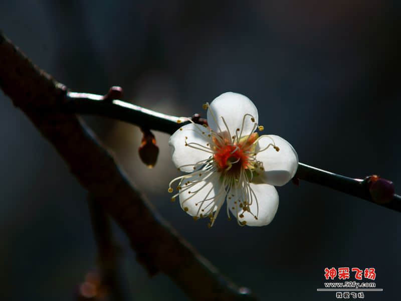DSC035050.jpg