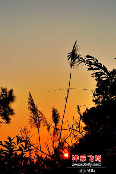 DSC_3998.jpg