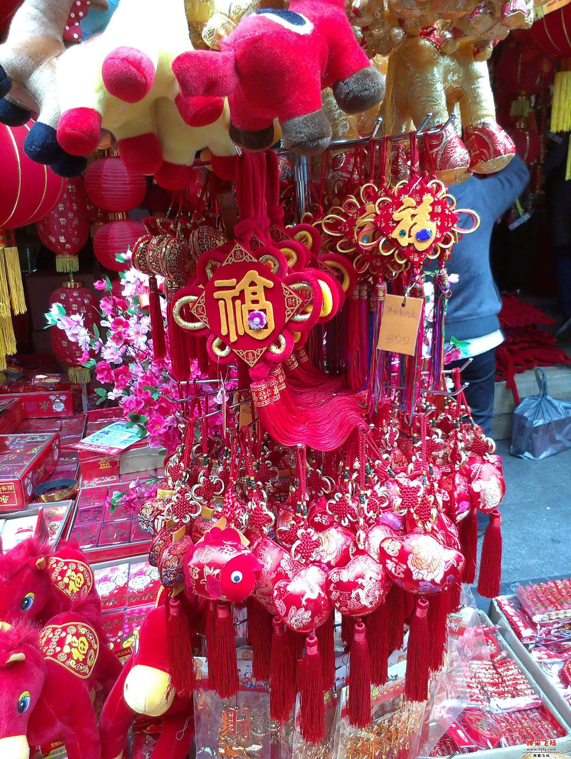 IMAG1386.jpg