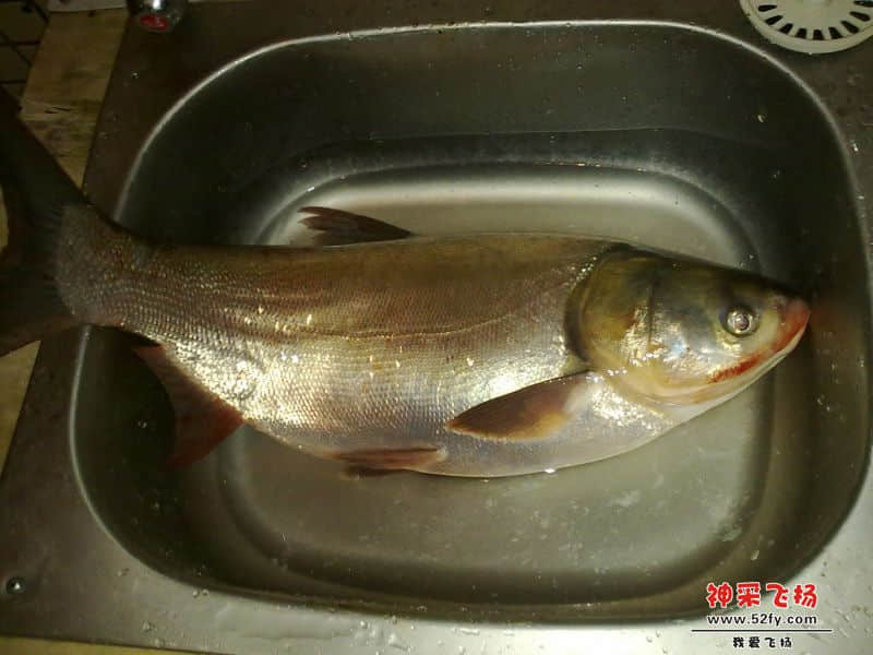 20140105455.jpg