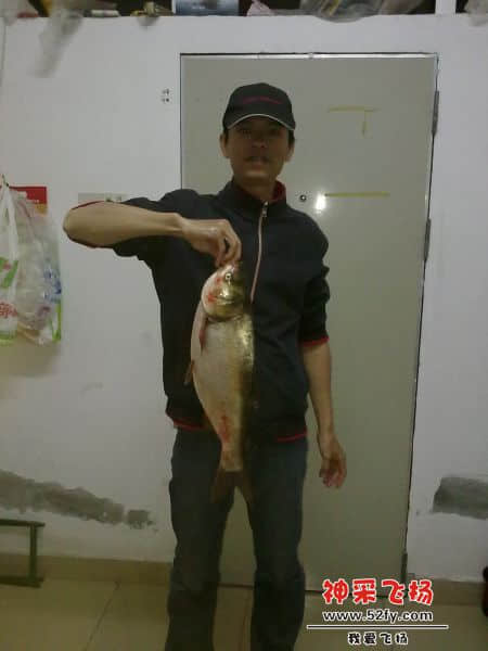 20140105457.jpg