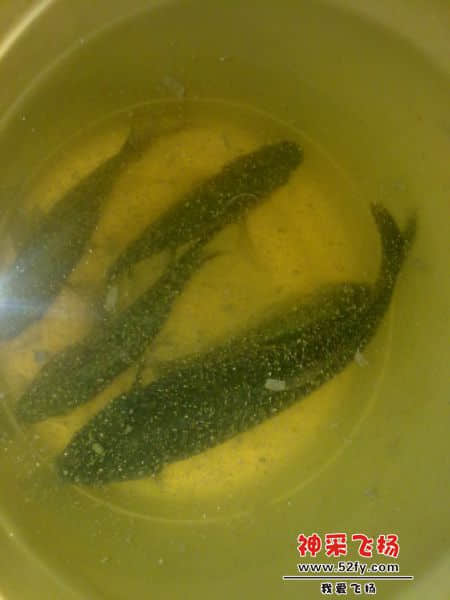 20131223440.jpg