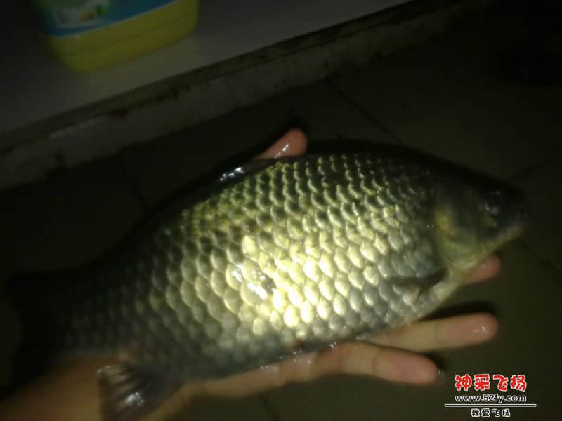 20131223441.jpg